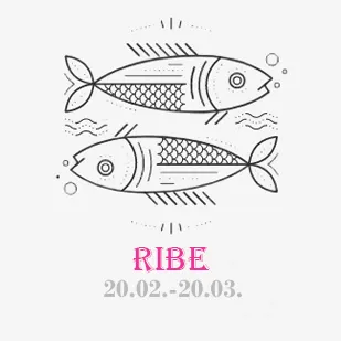 Ribe